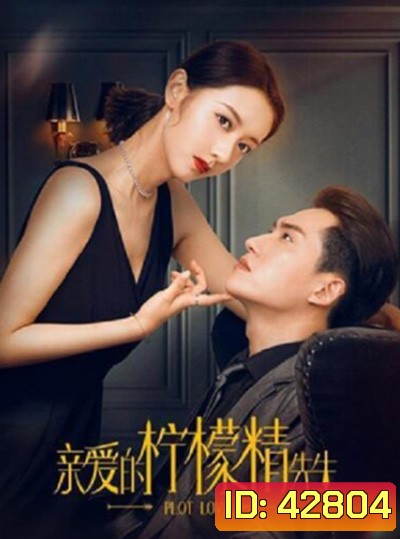 Plot Love (2021) แผนรักลวงใจ (24 ตอนจบ)
