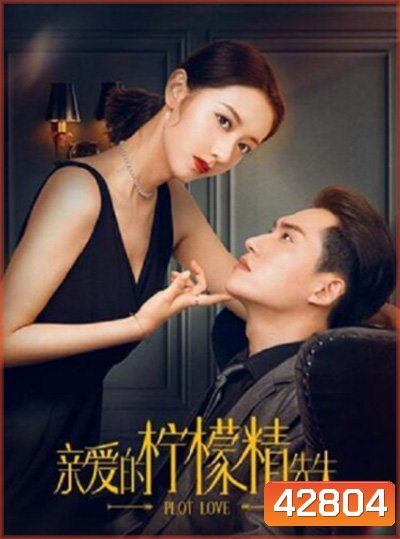 Plot Love (2021) แผนรักลวงใจ (24 ตอนจบ)