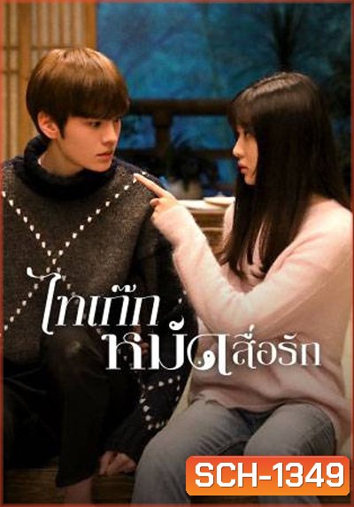 Sweet Tai Chi (2019) ไทเก๊กหมัดสื่อรัก (24 ตอนจบ)