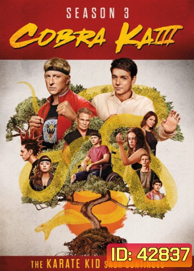 Cobra Kai Season 3 คอบร้า ไค ปี 3 (10 ตอนจบ)