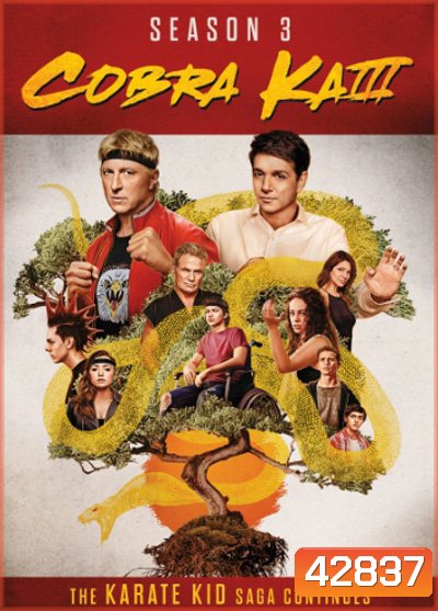 Cobra Kai Season 3 คอบร้า ไค ปี 3 (10 ตอนจบ)