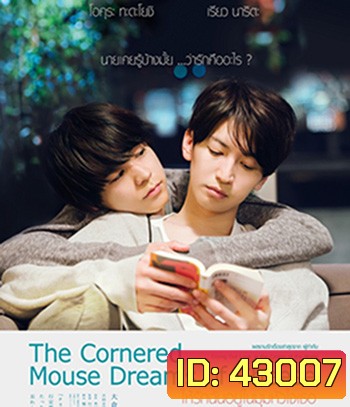 The Cornered Mouse Dreams of Cheese (2020) ให้รักฉันอยู่ในมุมหัวใจเธอ