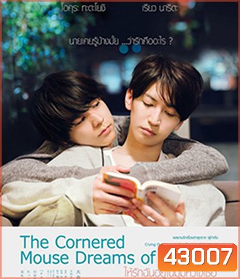 The Cornered Mouse Dreams of Cheese (2020) ให้รักฉันอยู่ในมุมหัวใจเธอ