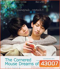 The Cornered Mouse Dreams of Cheese (2020) ให้รักฉันอยู่ในมุมหัวใจเธอ