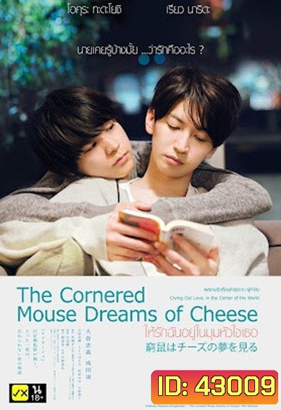 The Cornered Mouse Dreams of Cheese (2020) ให้รักฉันอยู่ในมุมหัวใจเธอ