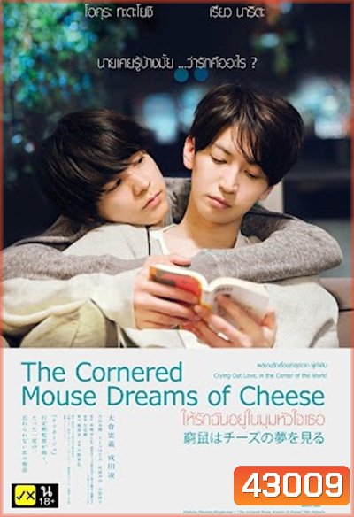 The Cornered Mouse Dreams of Cheese (2020) ให้รักฉันอยู่ในมุมหัวใจเธอ