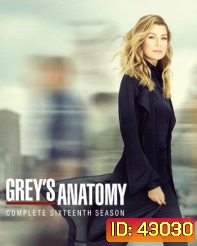 Grey's anatomy Season 16 แพทย์มือใหม่หัวใจเกินร้อย ปี 16 (21 ตอนจบ)