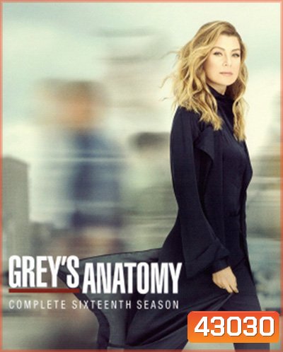 Grey's anatomy Season 16 แพทย์มือใหม่หัวใจเกินร้อย ปี 16 (21 ตอนจบ)