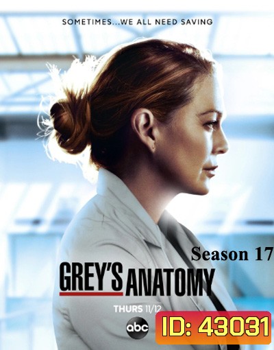 Grey's anatomy Season 17 แพทย์มือใหม่หัวใจเกินร้อย ปี 17 (17 ตอนจบ)