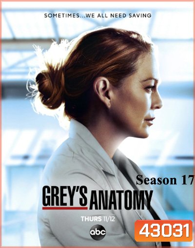 Grey's anatomy Season 17 แพทย์มือใหม่หัวใจเกินร้อย ปี 17 (17 ตอนจบ)