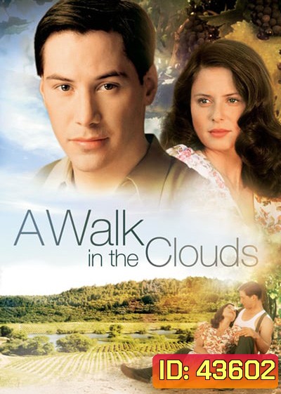 A Walk In The Clouds (1995) จะขอบูชาหัวใจเธอไว้ที่วิมานเมฆ