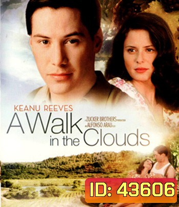A Walk In The Clouds (1995) จะขอบูชาหัวใจเธอไว้ที่วิมานเมฆ