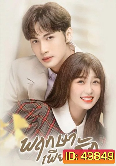 A Romance of the Little Forest พฤกษาเพียงรัก (2022) 35 ตอนจบ