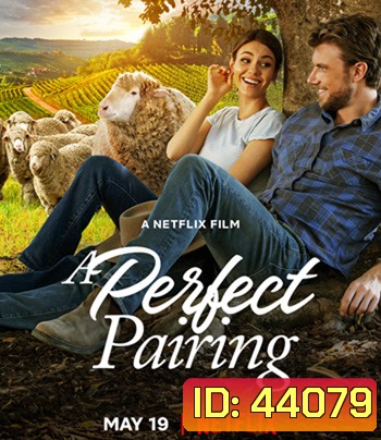 A Perfect Pairing (2022) คู่นี้... คือเพอร์เฟค