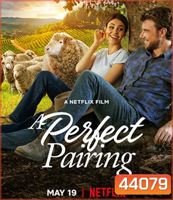 A Perfect Pairing (2022) คู่นี้... คือเพอร์เฟค