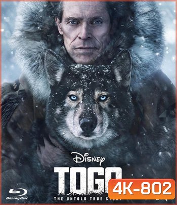 4K - Togo (2019) โตโกหมาป่ายอดนักสู้ - แผ่นหนัง 4K UHD