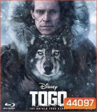4K - Togo (2019) โตโกหมาป่ายอดนักสู้ - แผ่นหนัง 4K UHD