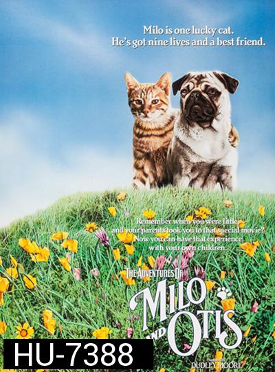 The Adventures of Milo and Otis (1986) แมวจ๋าหมาอยู่นี่