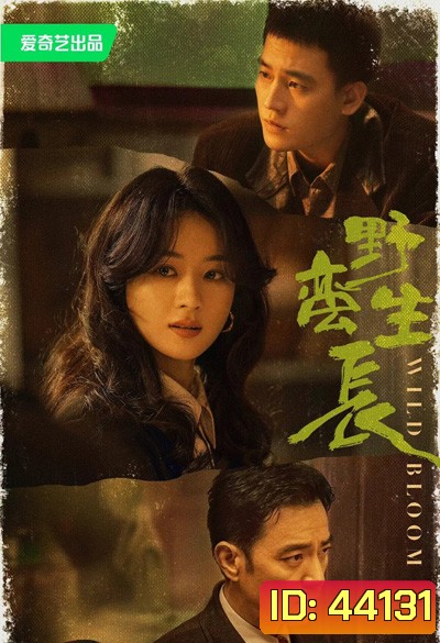 ยอดหญิงแกร่ง Wild Bloom (2022) 36 ตอนจบ