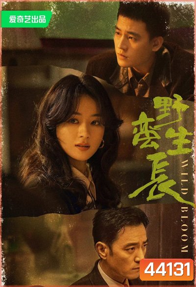 ยอดหญิงแกร่ง Wild Bloom (2022) 36 ตอนจบ