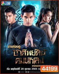 ชาติพยัคฆ์ คมนักเลง (2565)