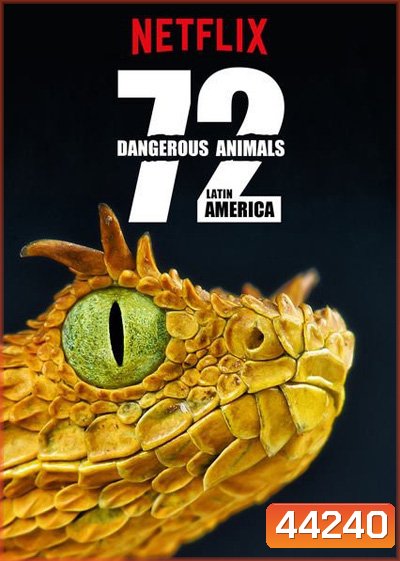 72 Dangerous Animals : Latin America