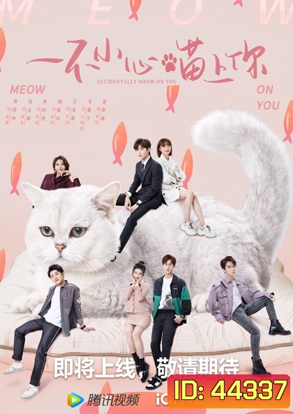 Accidentally Meow On You (2022) เหมียวเหมียวเกี่ยวใจให้เจอรัก (24 ตอนจบ)
