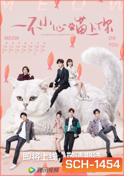 Accidentally Meow On You (2022) เหมียวเหมียวเกี่ยวใจให้เจอรัก (24 ตอนจบ)