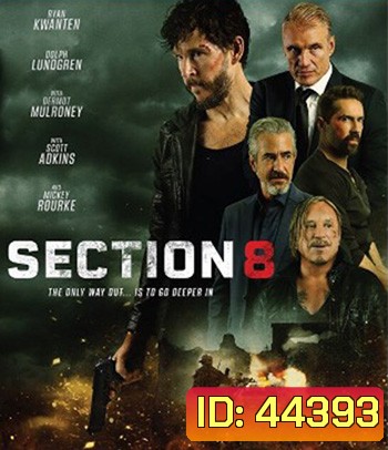 Section 8 (2022)