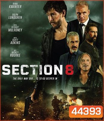 Section 8 (2022)