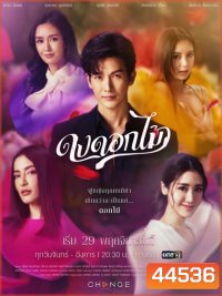 ดงดอกไม้ (16 ตอนจบ)
