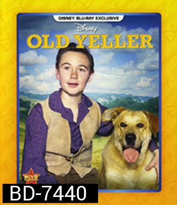 Old Yeller (1957) เพือนแท้คู่ชีวิต,สุนัขล่าคู่ชีวิต (ภาพเท่าดีวีดี)
