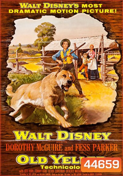 Old Yeller (1957) เพือนแท้คู่ชีวิต,สุนัขล่าคู่ชีวิต