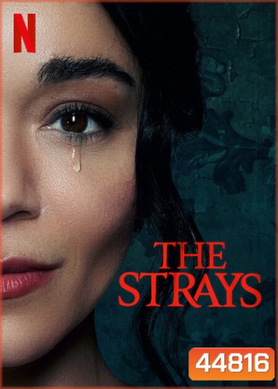 The Strays (2023) คนหลงทาง