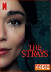 The Strays (2023) คนหลงทาง