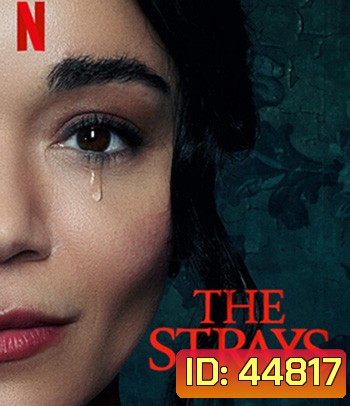 The Strays (2023) คนหลงทาง