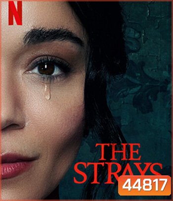The Strays (2023) คนหลงทาง