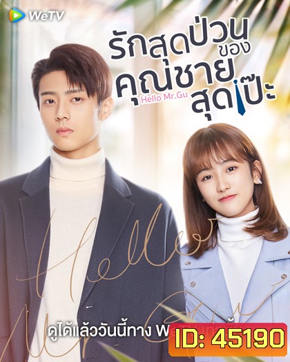 Hello Mr. Gu (2021) รักสุดป่วนของคุณชายสุดเป๊ะ (30 ตอนจบ)