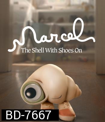 Marcel the Shell with Shoes On (2021) มาร์เซล หอยจิ๋วกับรองเท้าคู่ใจ