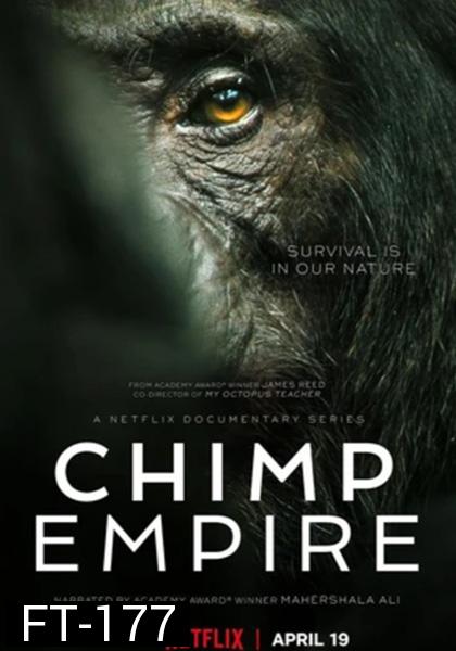 อาณาจักรซิมแปนซี (2023) Chimp Empire