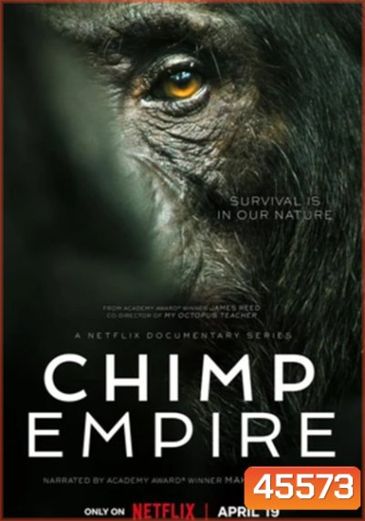 อาณาจักรซิมแปนซี (2023) Chimp Empire