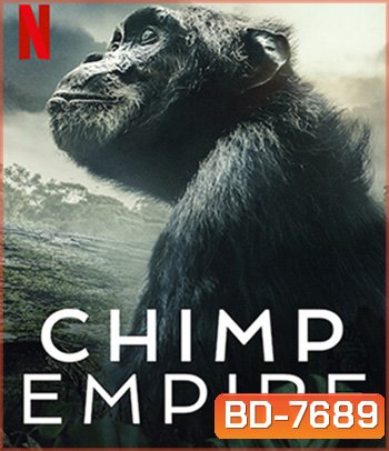 Chimp Empire (2023) อาณาจักรซิมแปนซี