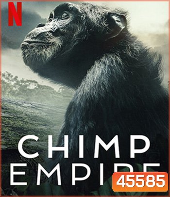 Chimp Empire (2023) อาณาจักรซิมแปนซี