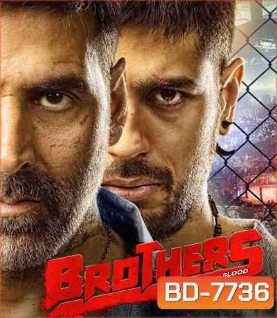Brothers (2015) พี่น้องสังเวียนเดือด