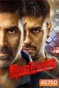 Brothers (2015) พี่น้องสังเวียนเดือด