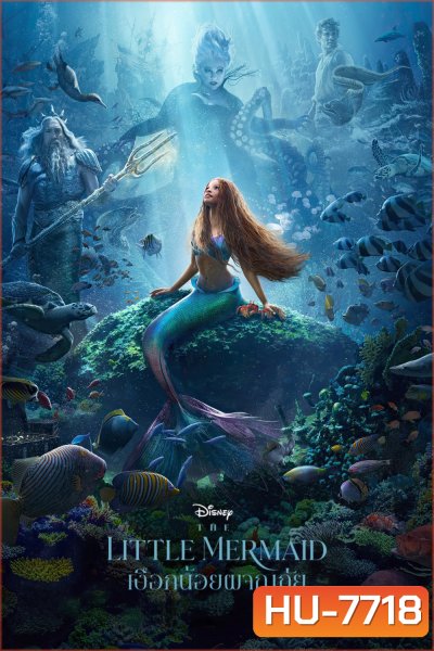 (Zoom ซูม) The Little Mermaid (2023) เงือกน้อยผจญภัย (ดูภาพตัวอย่างด้านใน)