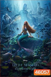 (Zoom ซูม) The Little Mermaid (2023) เงือกน้อยผจญภัย (ดูภาพตัวอย่างด้านใน)