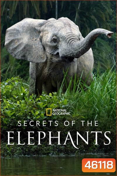 Secrets of the Elephants (2023) 4 ตอน