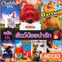 4K หนัง สัตว์น้อยน่ารัก ปีเตอร์แรบบิท หมาแมว เบ๊บ แมงมุมเพื่อนรัก 4K