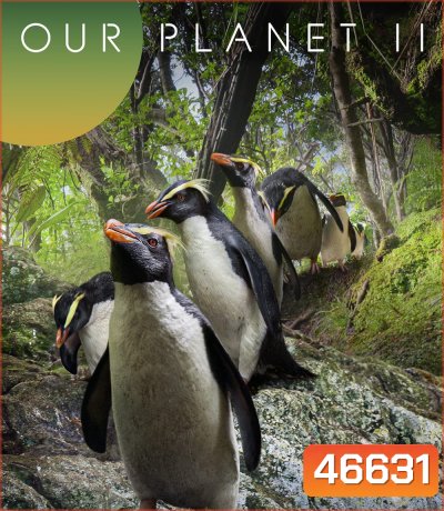 Our Planet Season 2 (2023) (ภาพ HDR)